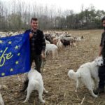 Consegna dei cani Leuco e Settiminio a Carpignano Sesia (CN)